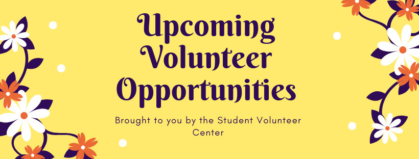 Current Volunteer Opportunities 